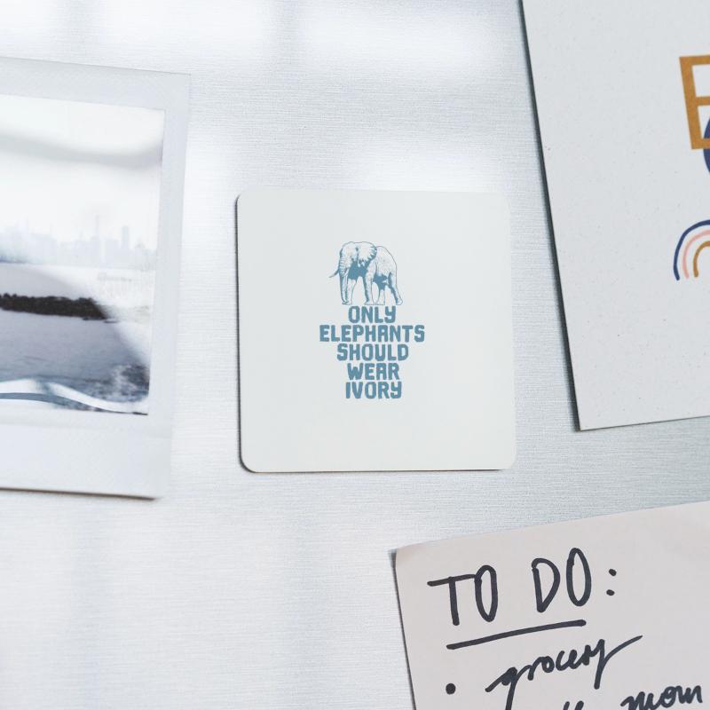 Only Elephants Should Wear Ivory