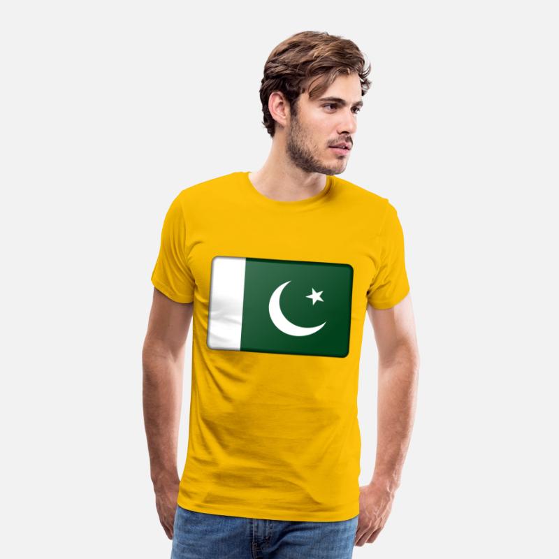Pakistan flag (bevelled)