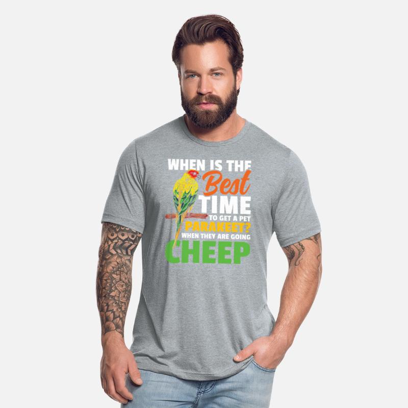 When Is The Best Time To Get A Pet Parakeet