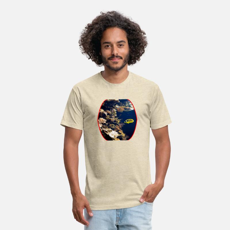 fish, cute fish, fish colorful, fish coral, beatif