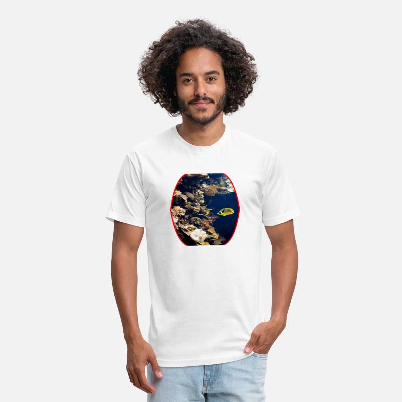 fish, cute fish, fish colorful, fish coral, beatif