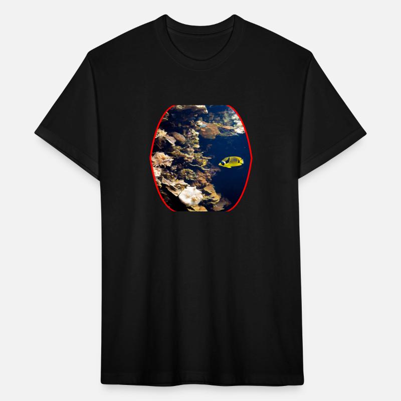 fish, cute fish, fish colorful, fish coral, beatif