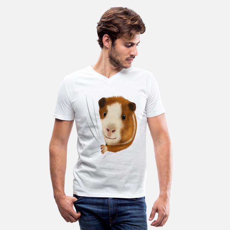 from side guinea pig clos cavy out gift guinea