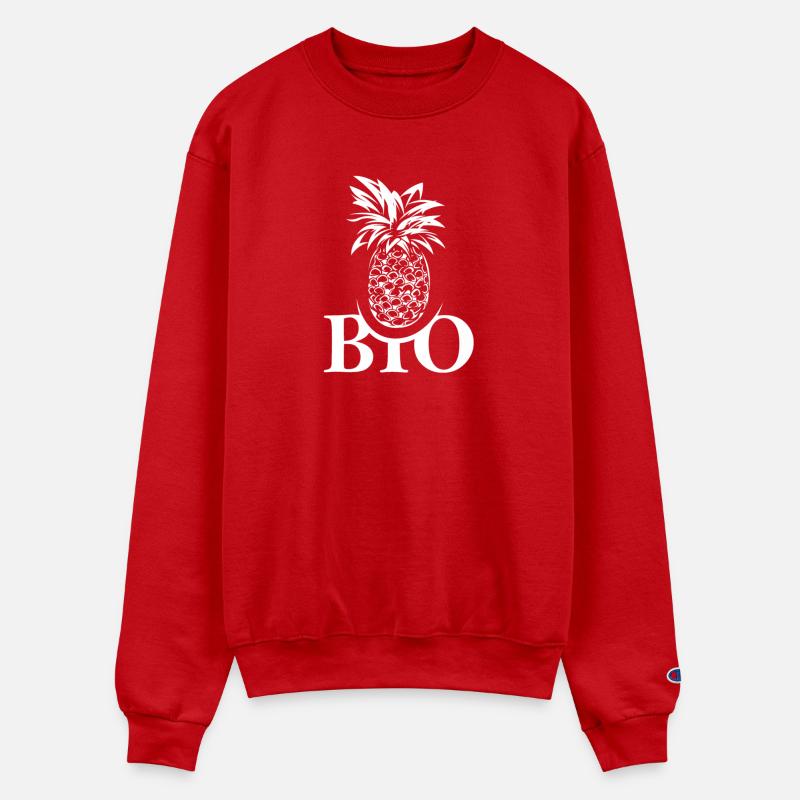 fruits pineapple ananas symbol bio healthy bar