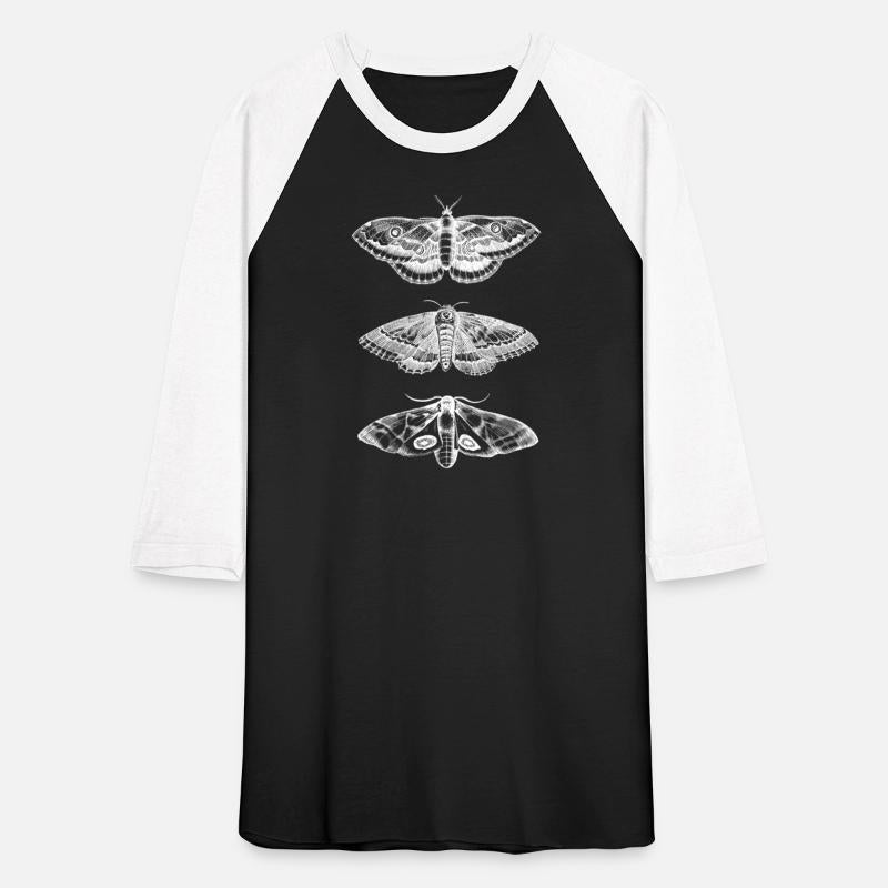 Moth Animal Insect Bug Scientific Illustration