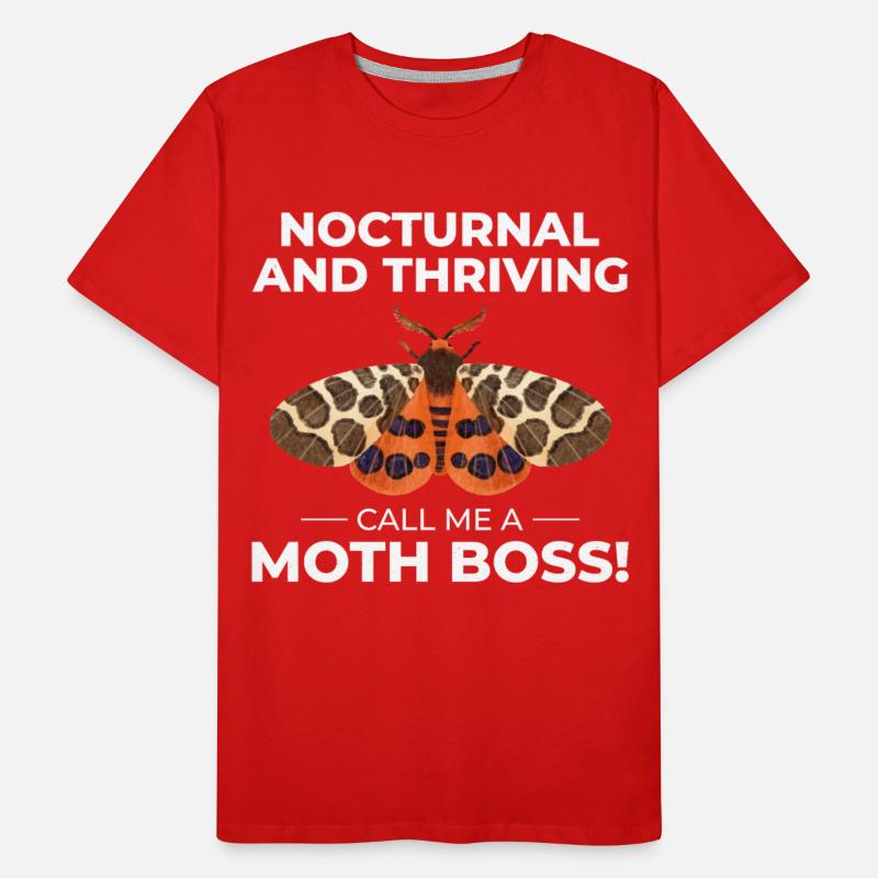 Moth Nocturnal Animal Insect Collector Entomology