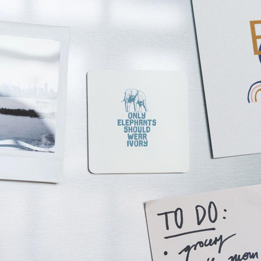 Only Elephants Should Wear Ivory