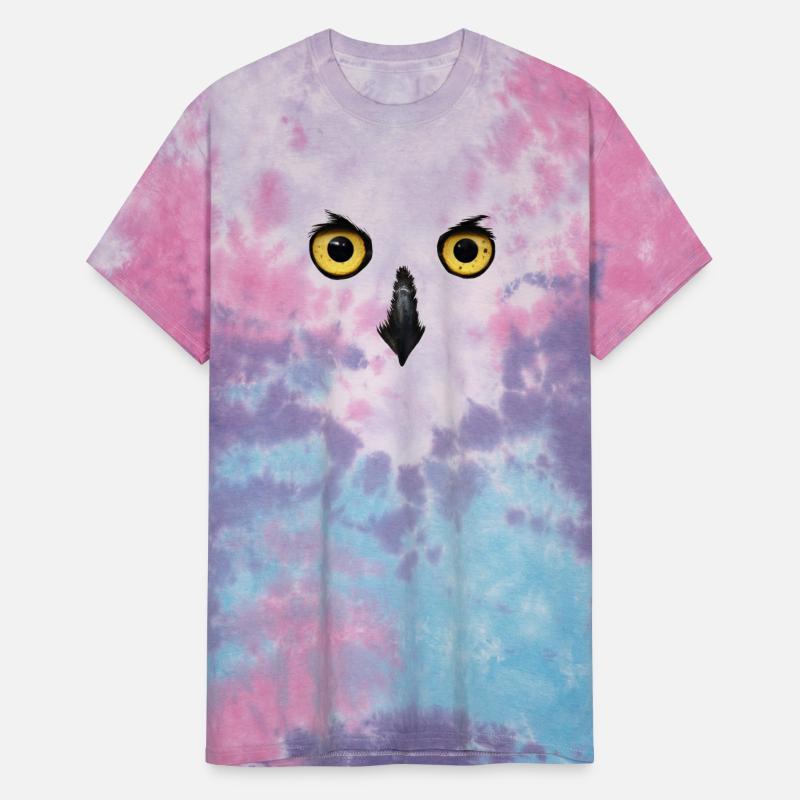 Owl Face Nocturnal Birds Of Prey Predator Bird