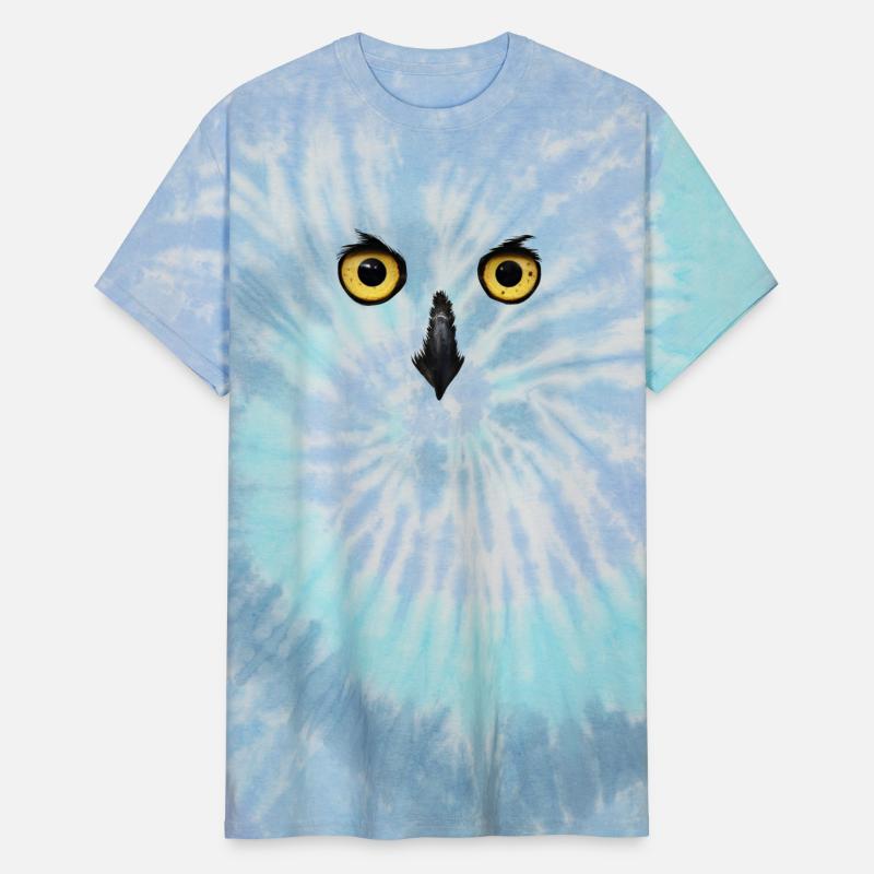Owl Face Nocturnal Birds Of Prey Predator Bird