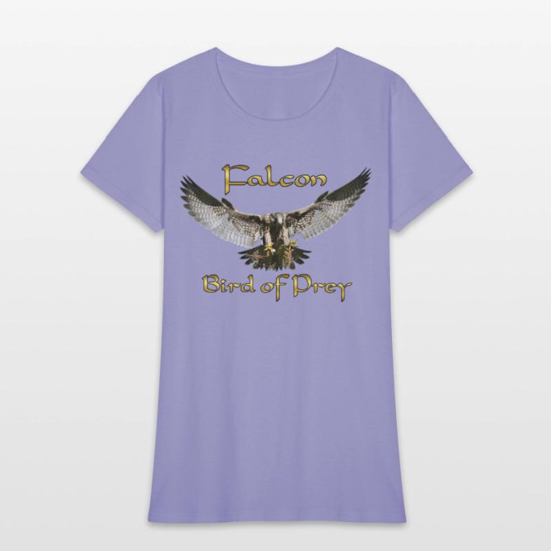 Peregrine Falcon Birds Of Prey