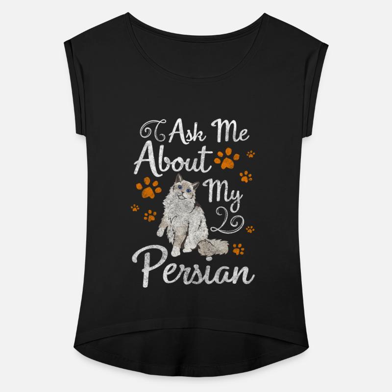 Persian Cat Cat Dad Fur