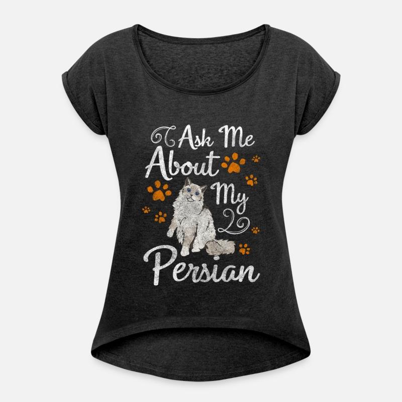 Persian Cat Cat Dad Fur