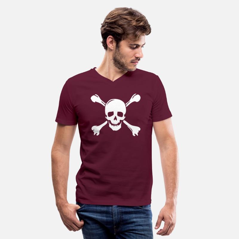 pirate skull jolly rogers
