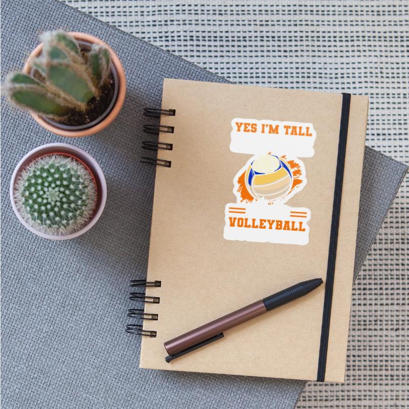 Sport Volley Ball Sports Sport