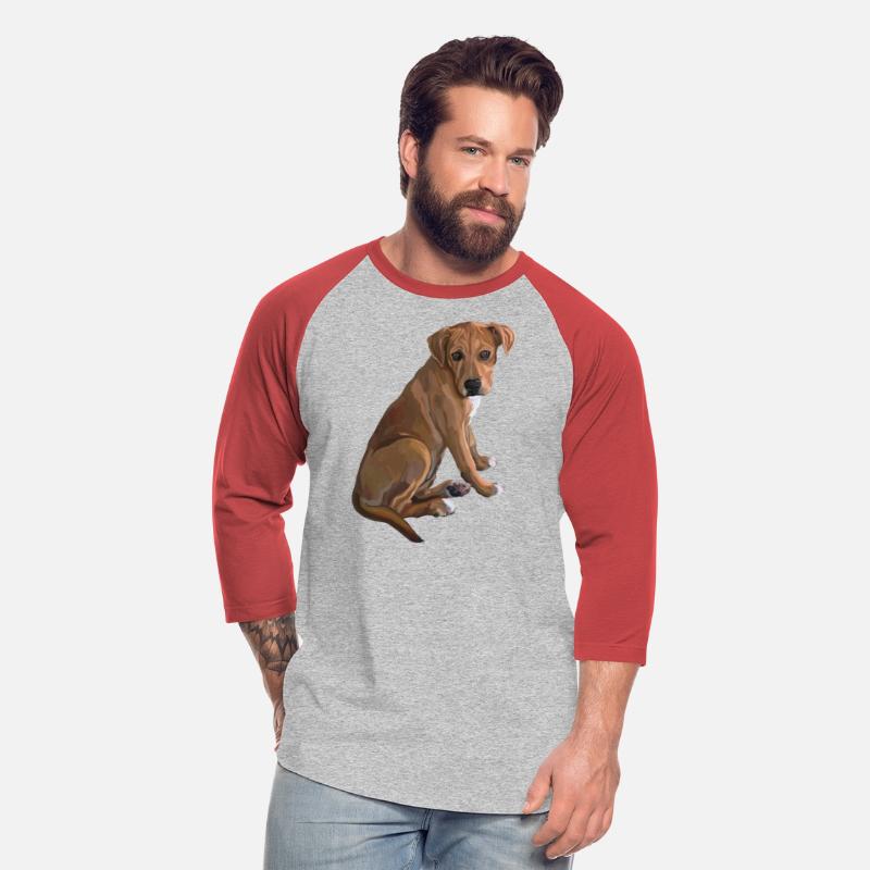 Sweet Brown Pitbull Mix Dog