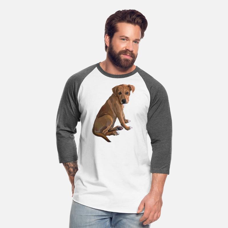 Sweet Brown Pitbull Mix Dog