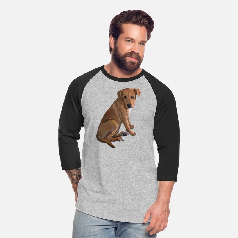 Sweet Brown Pitbull Mix Dog