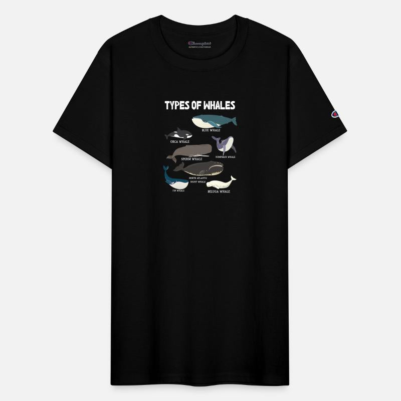 Types of Whales Whale Lovers Whales Species