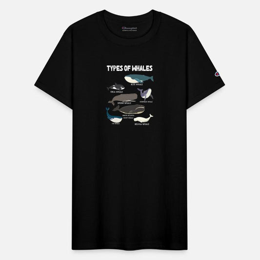 Types of Whales Whale Lovers Whales Species