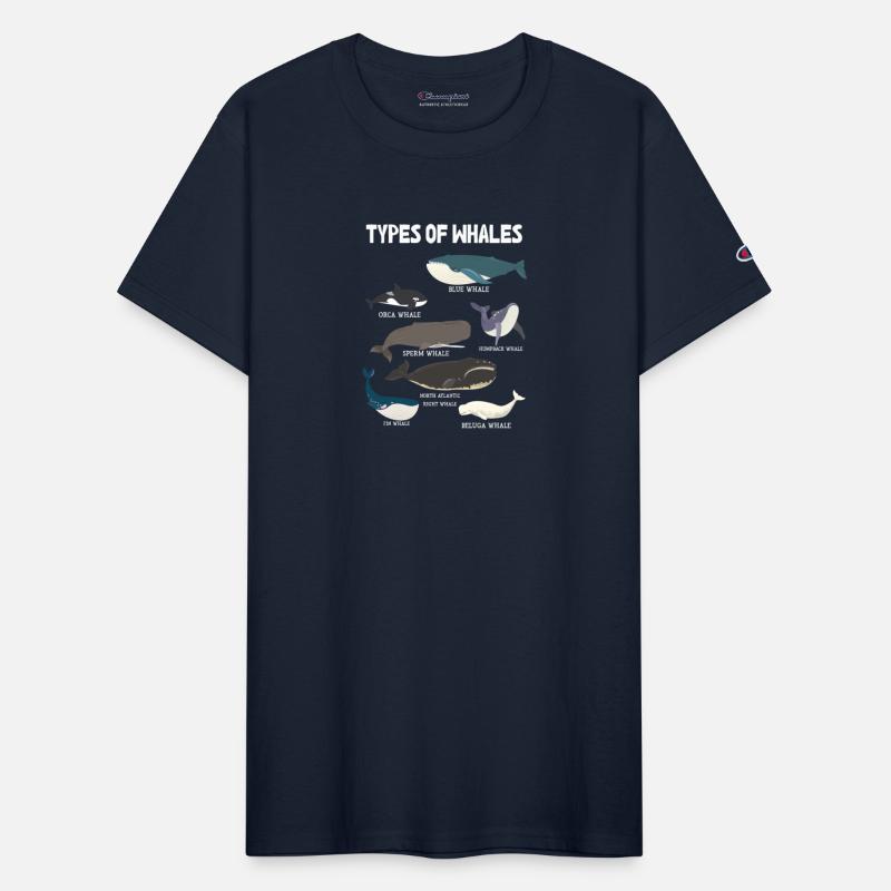 Types of Whales Whale Lovers Whales Species