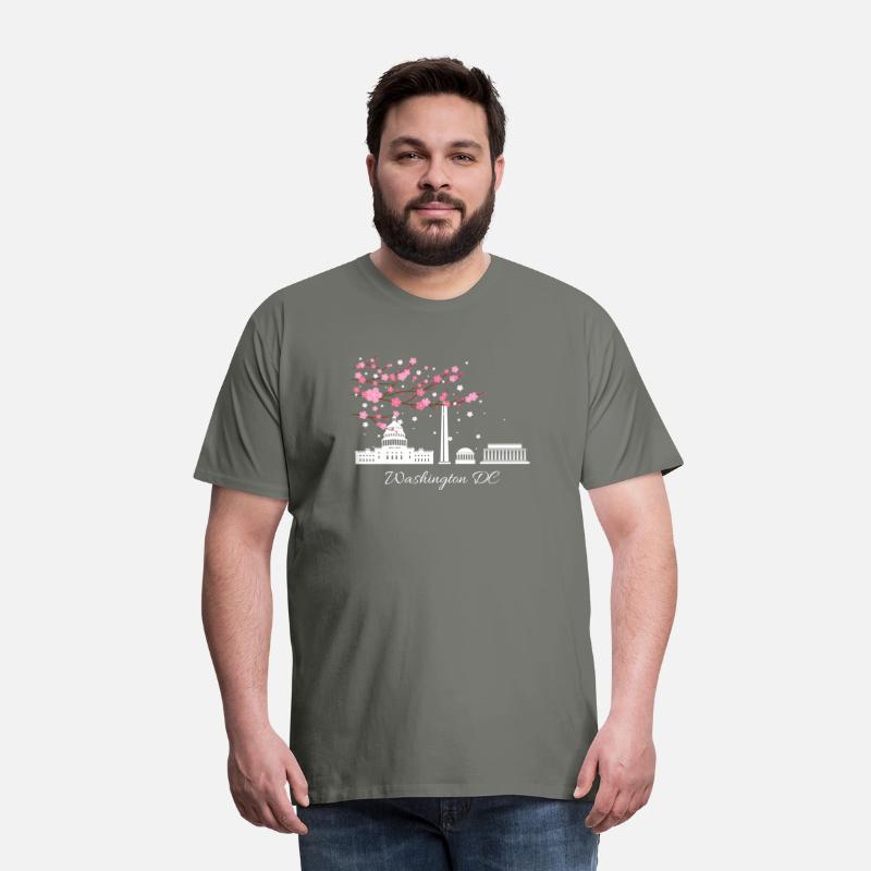 Washington Dc Cherry Blossoms City Monuments