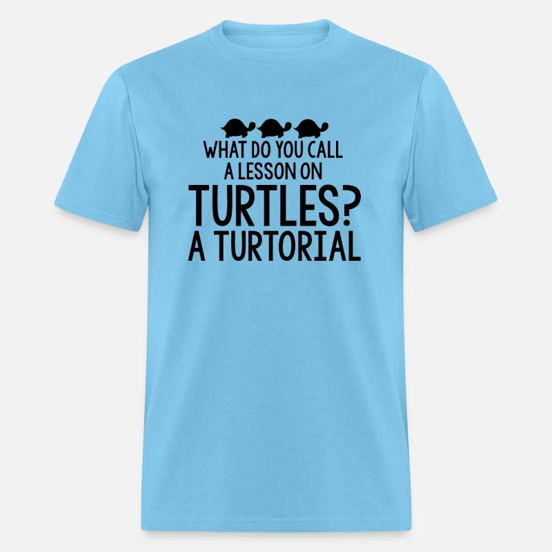 What Do You Call A Lesson On Turtles, A Turtorial4
