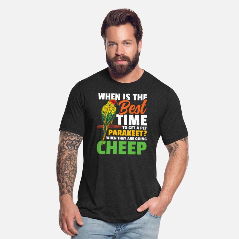 When Is The Best Time To Get A Pet Parakeet