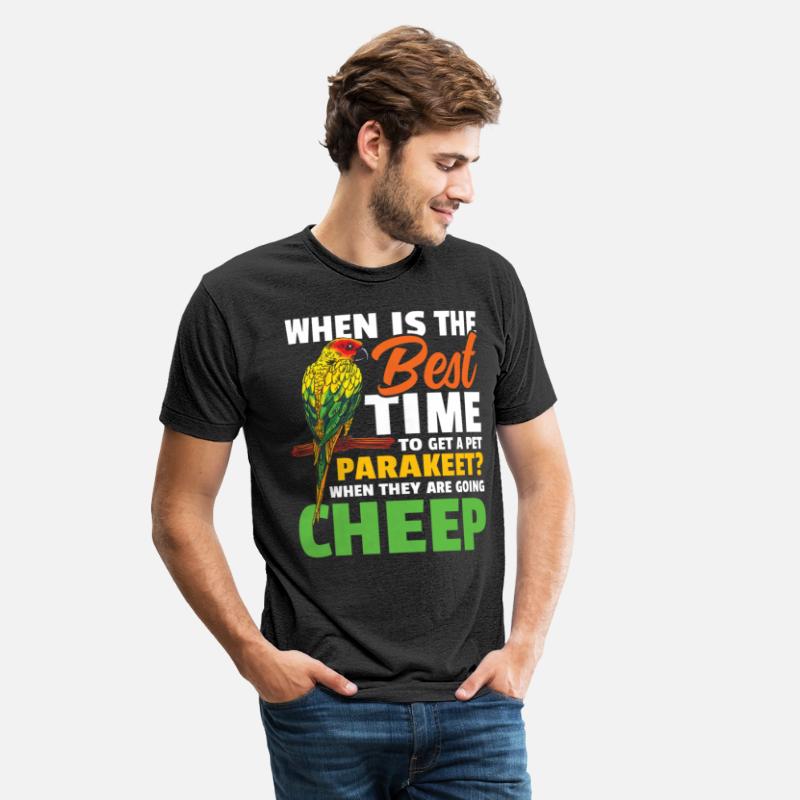 When Is The Best Time To Get A Pet Parakeet