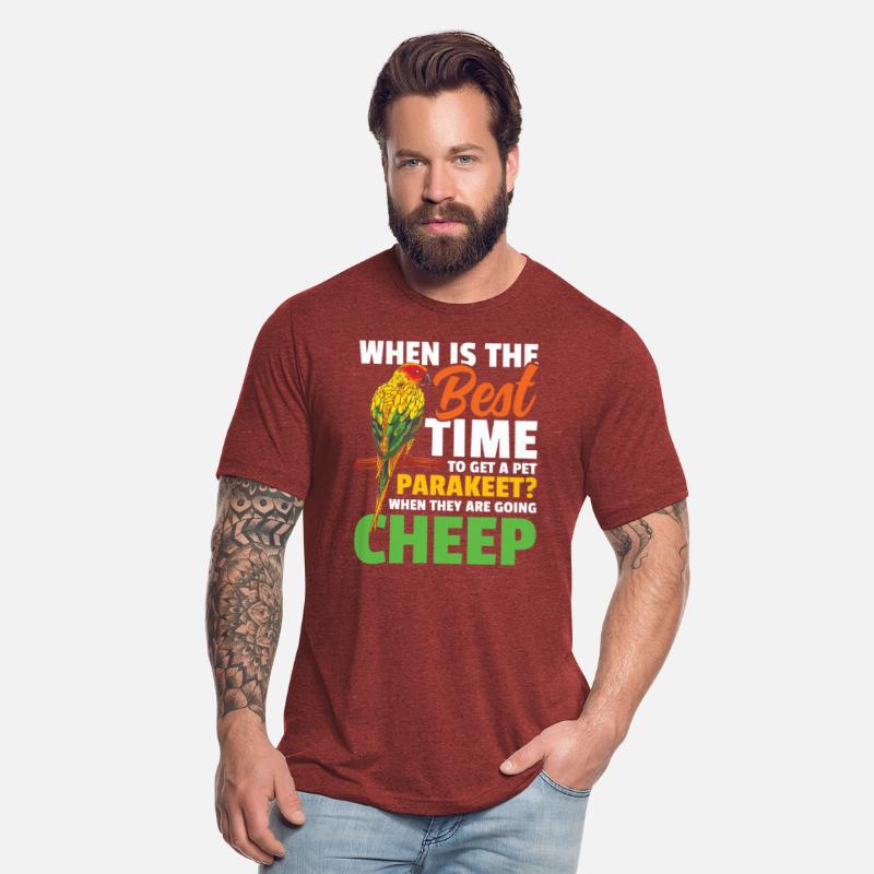 When Is The Best Time To Get A Pet Parakeet