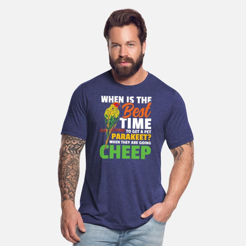 When Is The Best Time To Get A Pet Parakeet