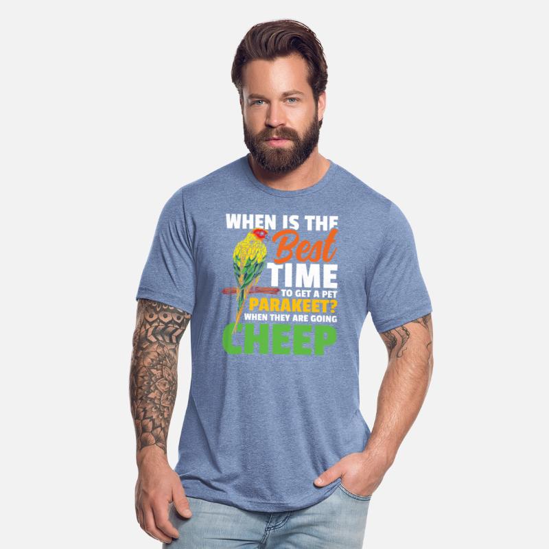 When Is The Best Time To Get A Pet Parakeet